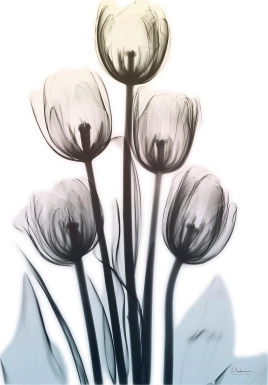 Sambrano Multi Artwork