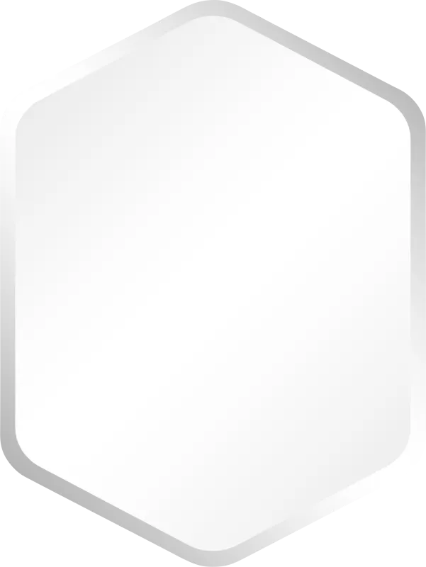 Diolinda Silver Mirror