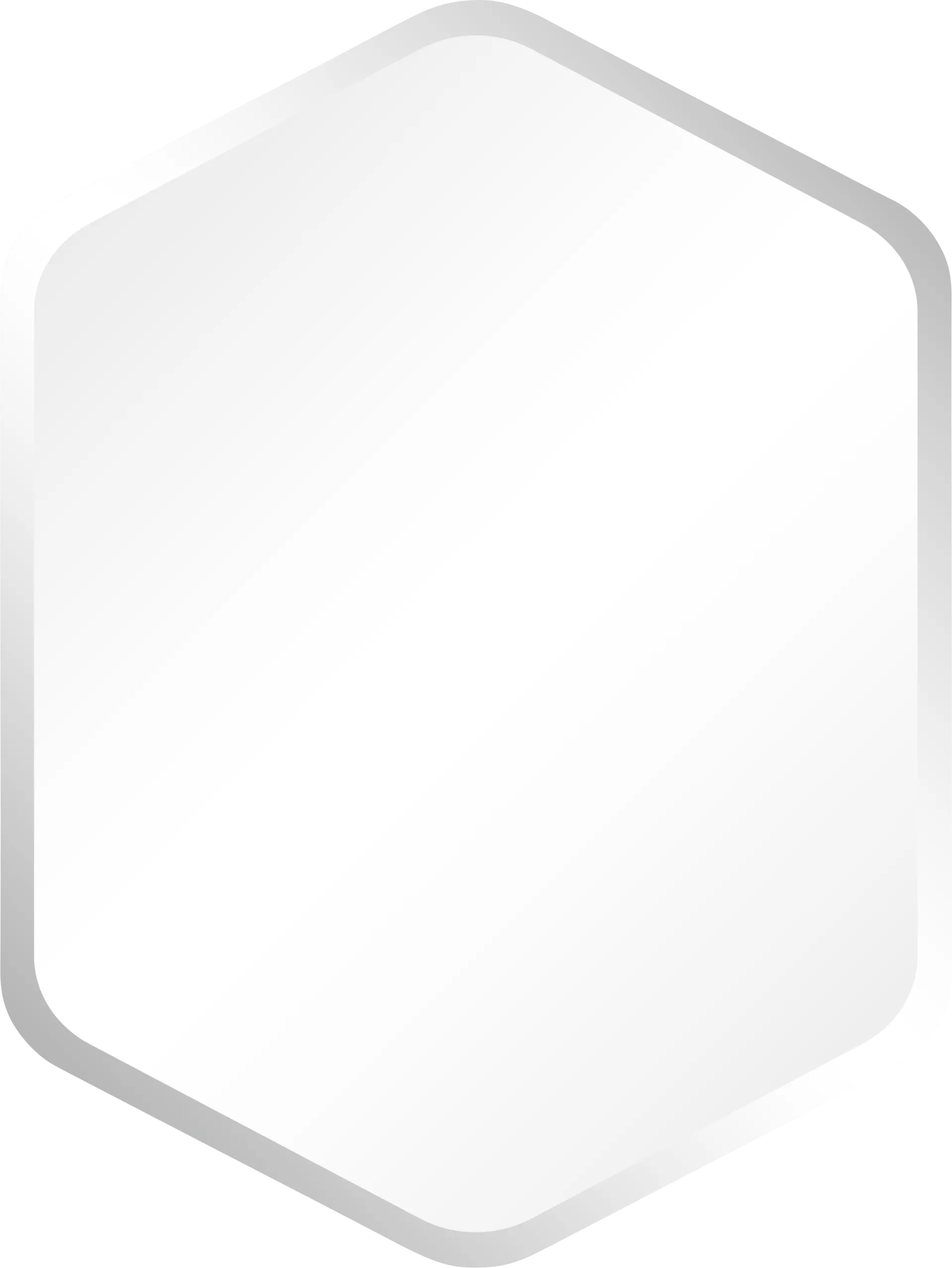 Diolinda Silver Mirror - Image 1