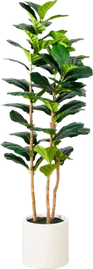 Mallberry II Green Silk Plant