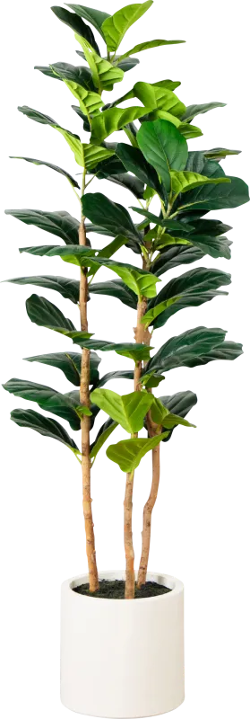 Mallberry II Green Silk Plant