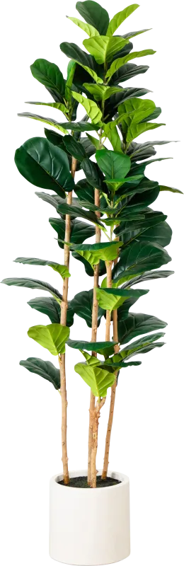 Mallberry III Green Silk Plant