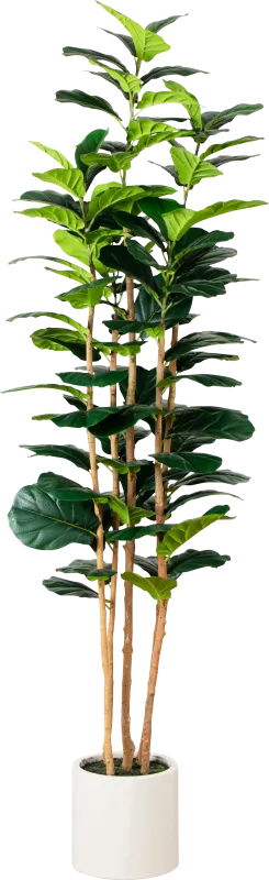 Mallberry IV Green Silk Plant