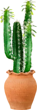 Defford Green Silk Plant