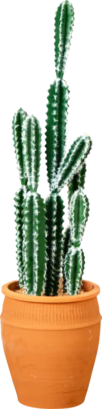 Hartranft Green Silk Plant