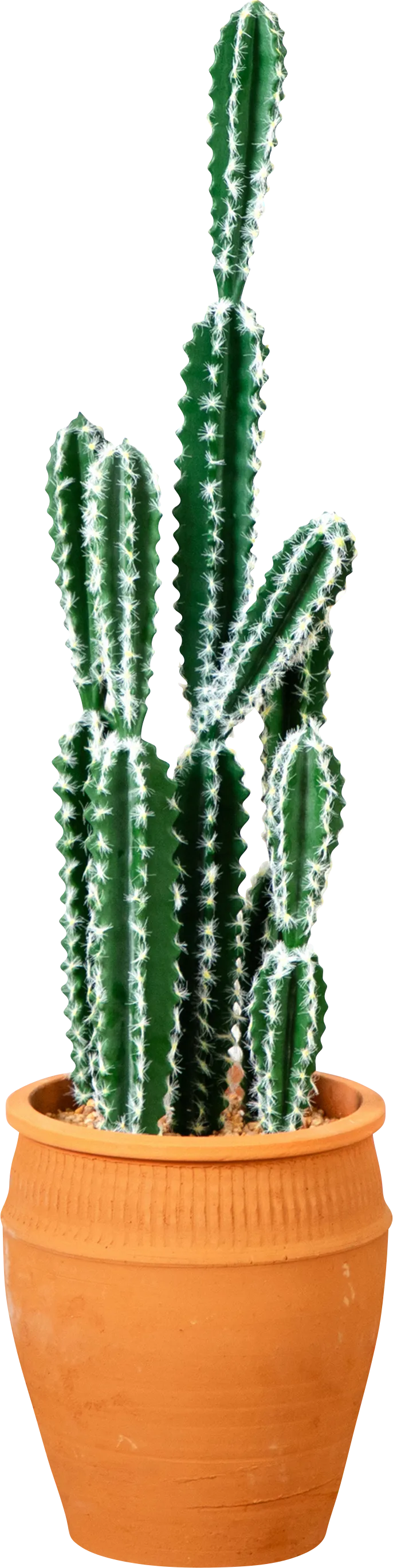 Hartranft Green Silk Plant - Image 1