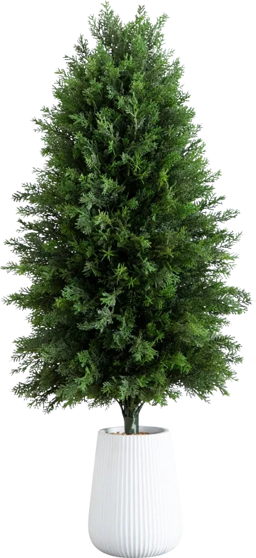 Juniata Green Indoor/Outdoor Silk Tree
