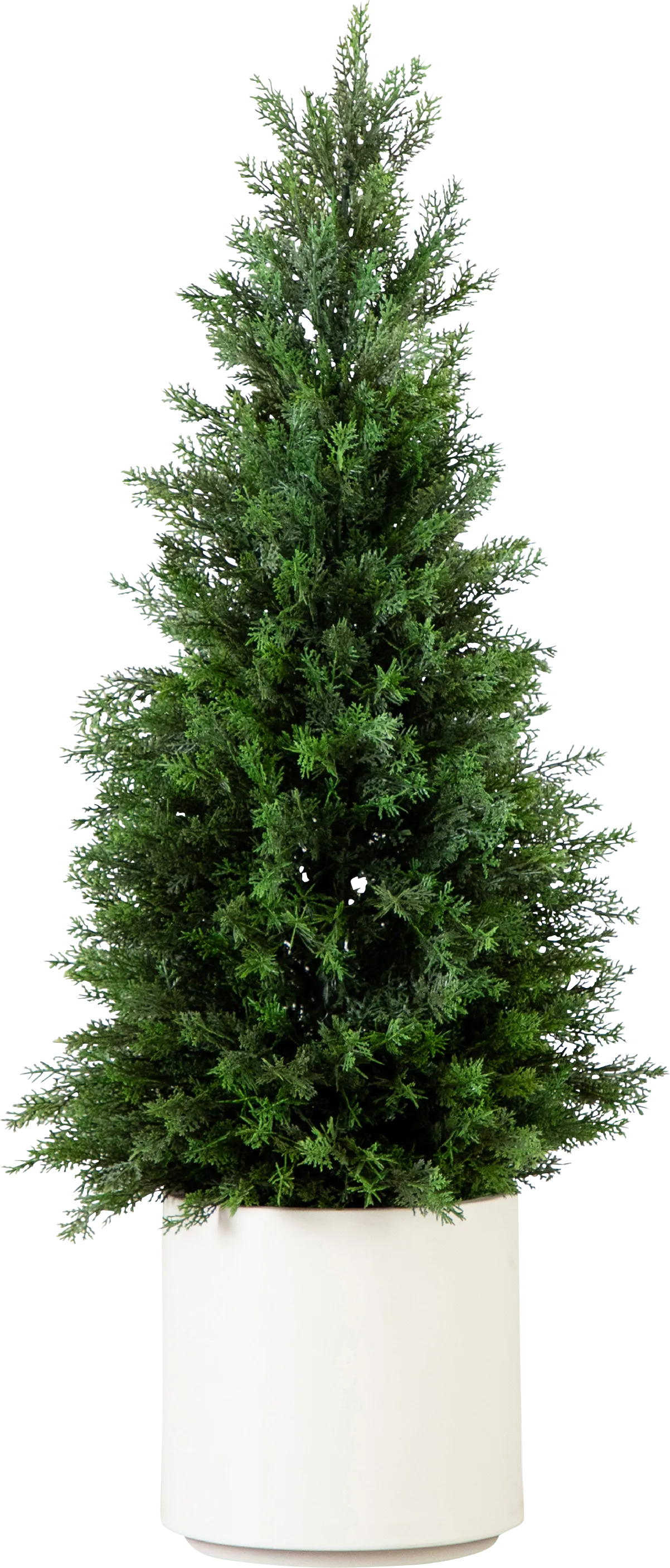 Koegel Green Indoor/Outdoor Silk Tree - Thumbnail - Image 1