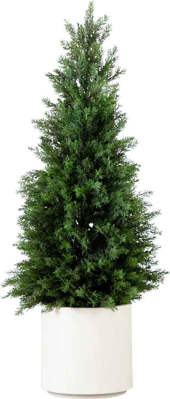 Koegel Green Indoor/Outdoor Silk Tree