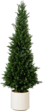 Plumlyn Green Indoor/Outdoor Silk Tree