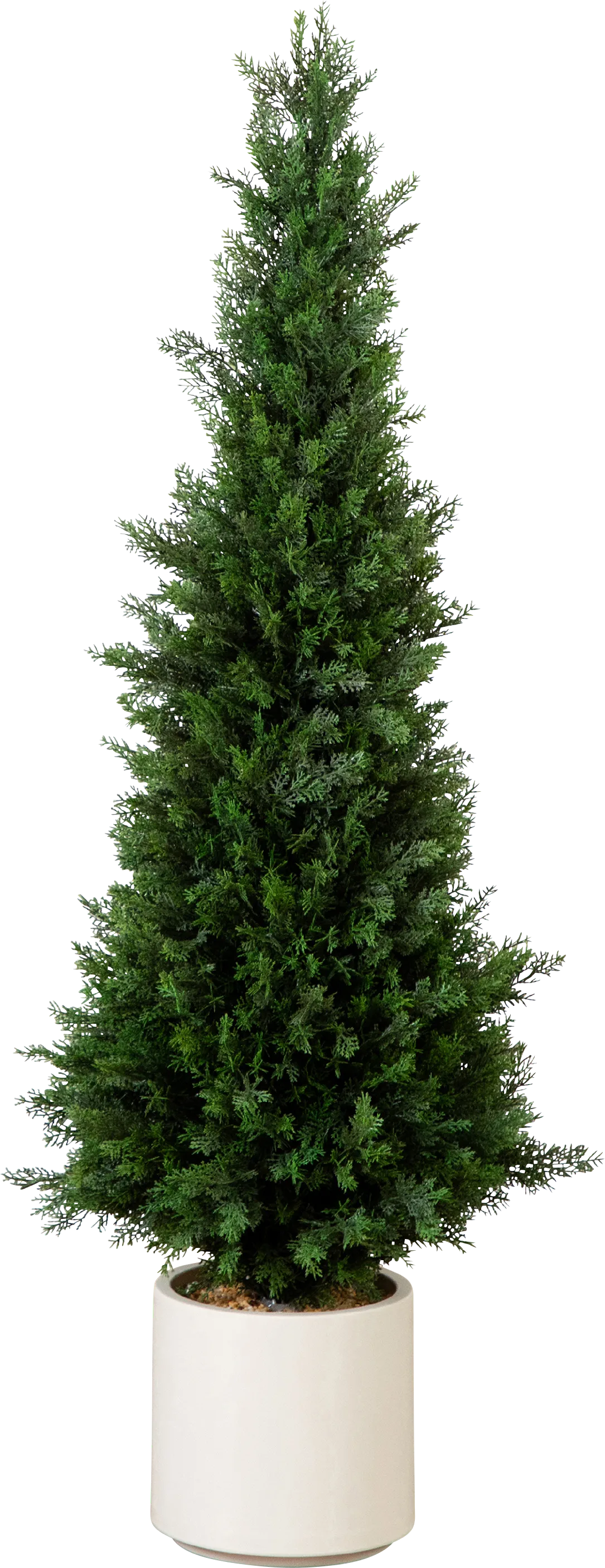 Plumlyn Green Indoor/Outdoor Silk Tree - Image 1