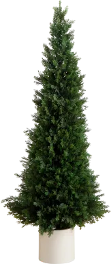 Rahway II Green Indoor/Outdoor Silk Tree