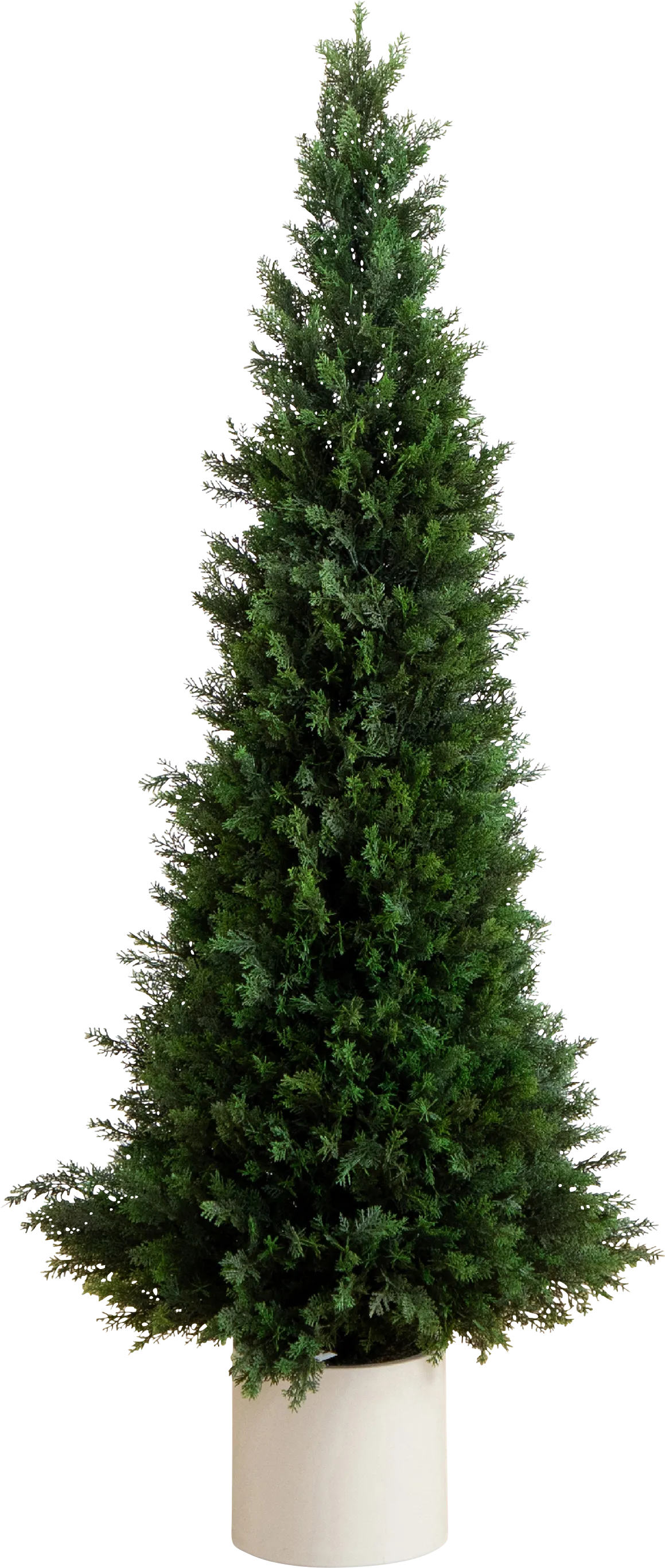 Rahway II Green Indoor/Outdoor Silk Tree - Image 1