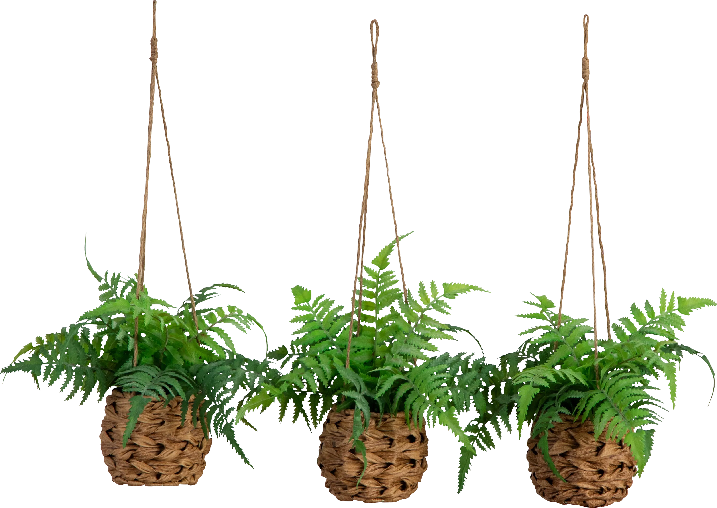 Krulock Green Indoor/Outdoor Silk Plant, Set of 3 - Thumbnail - Image 1