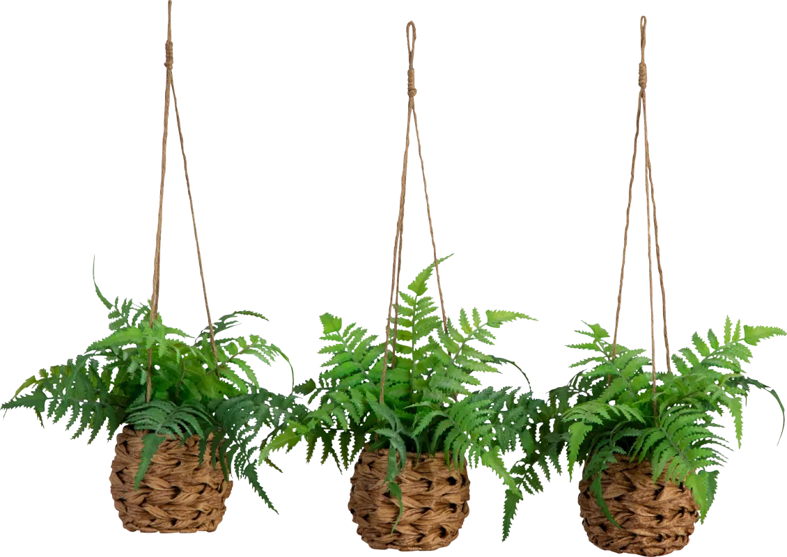Krulock Green Indoor/Outdoor Silk Plant, Set of 3