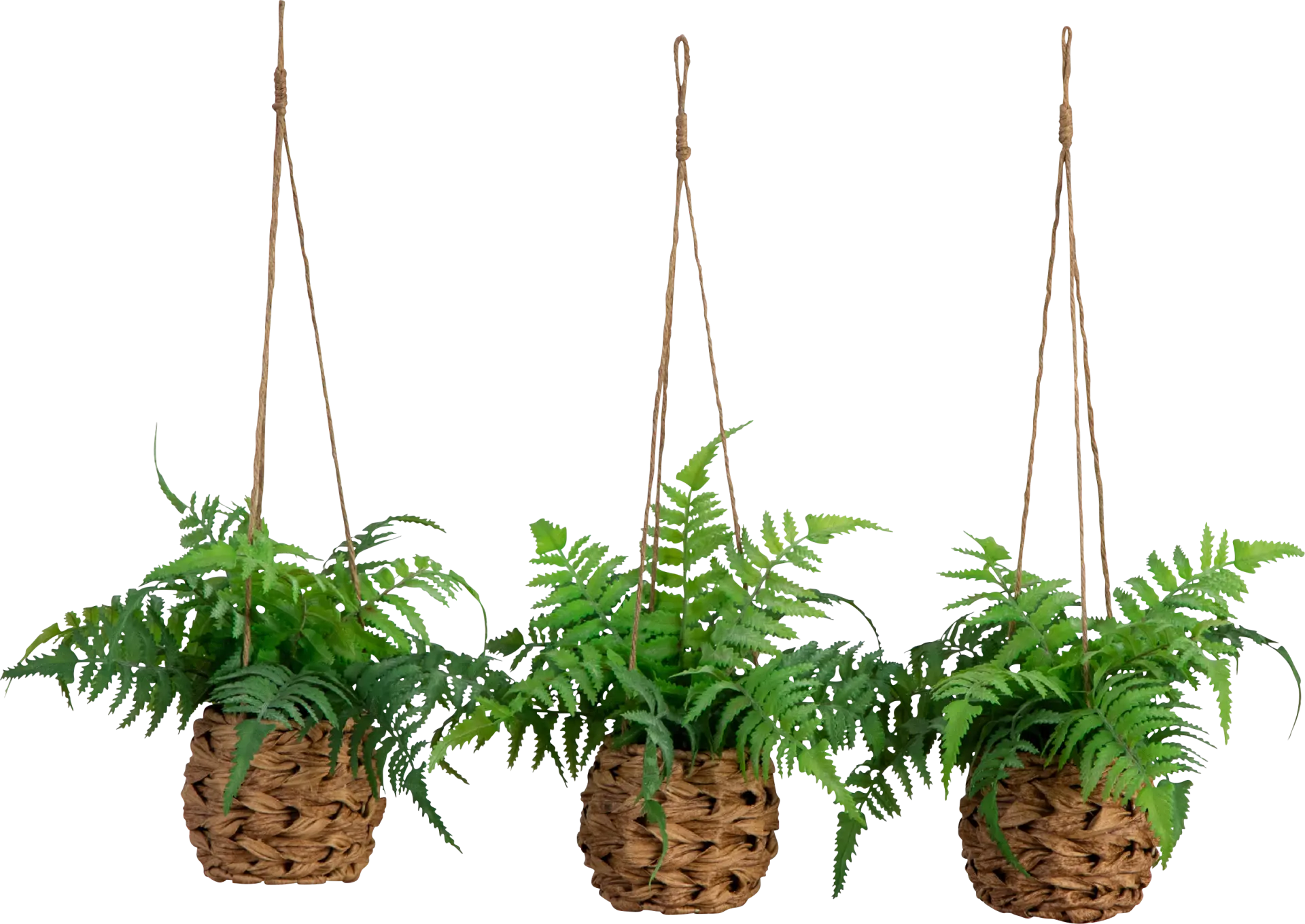 Krulock Green Indoor/Outdoor Silk Plant, Set of 3