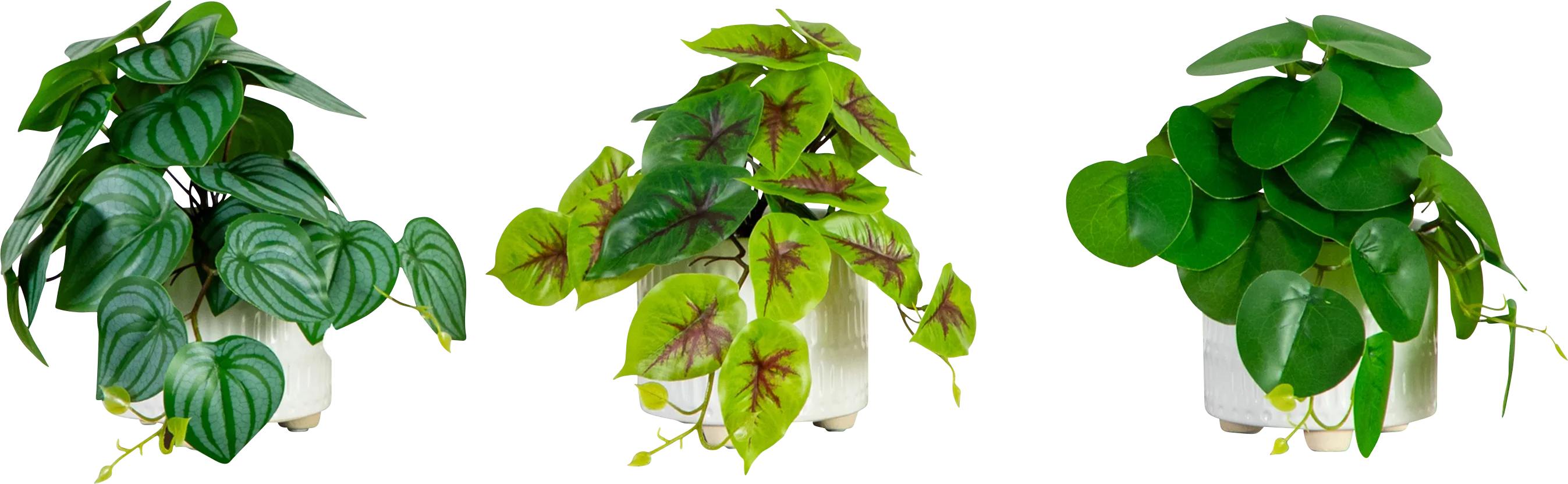 Kondrla Green Silk Plant, Set of 3 - Image 1