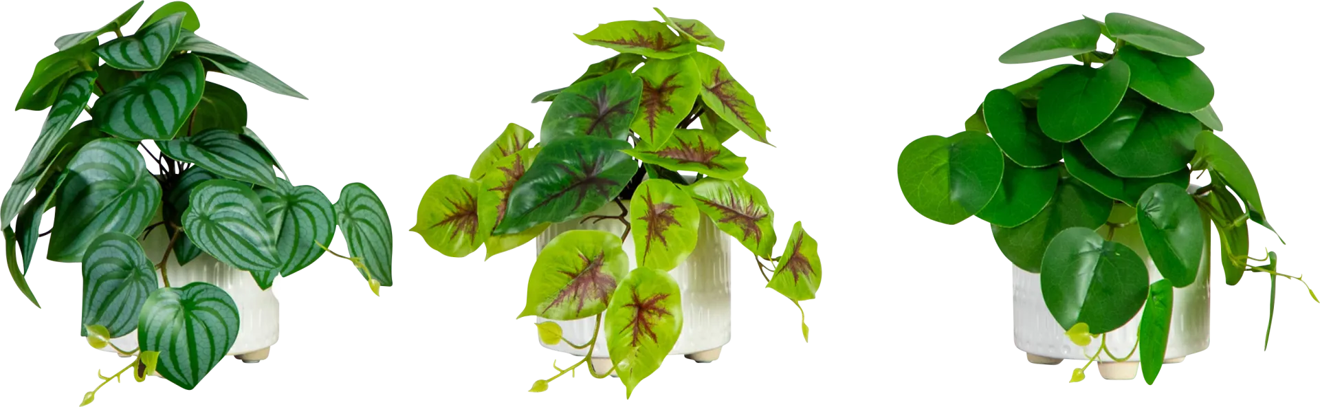 Kondrla Green Silk Plant, Set of 3 - Image 1