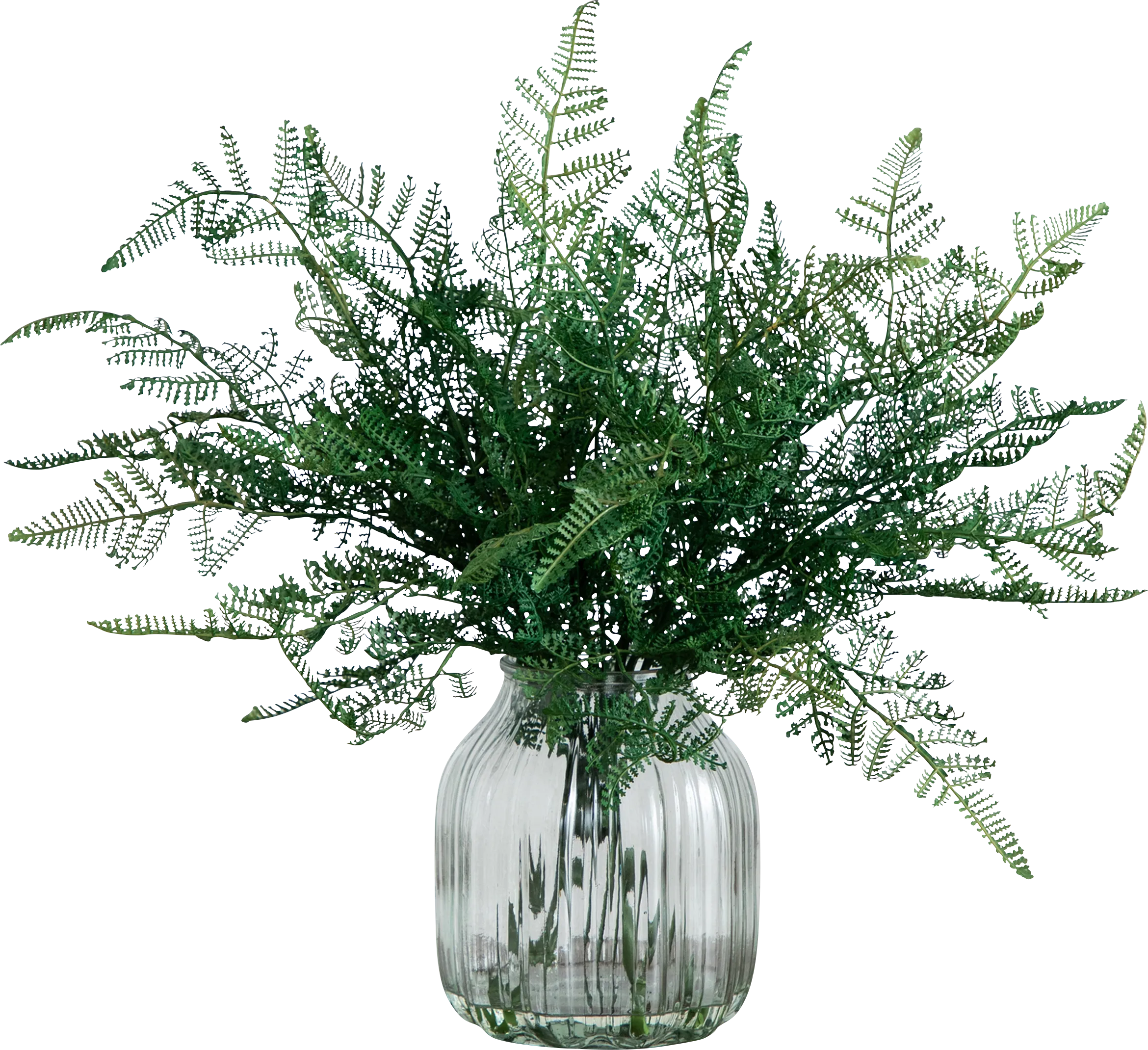 Hustead Green Silk Plant - Thumbnail - Image 1
