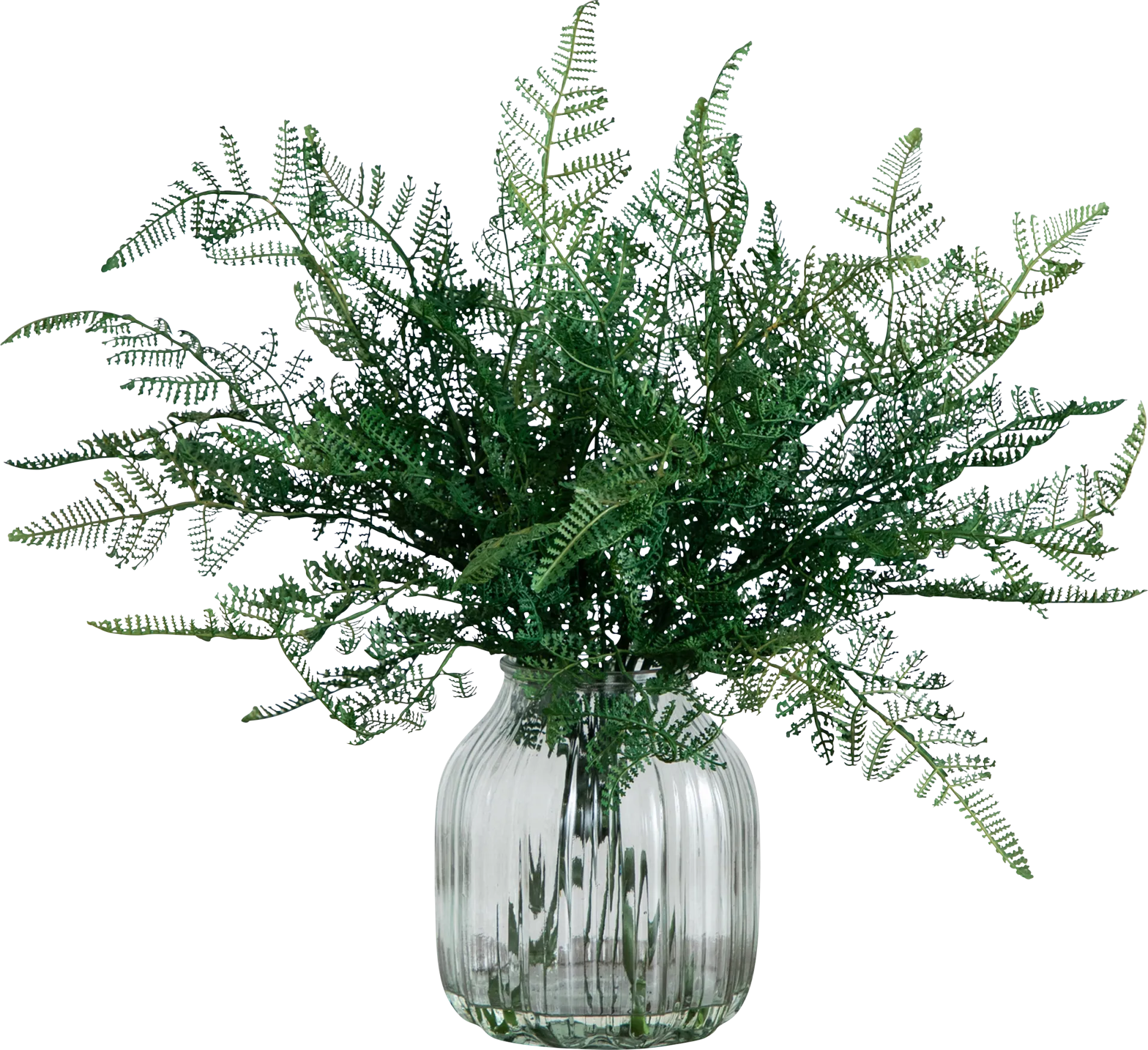 Hustead Green Silk Plant - Image 1