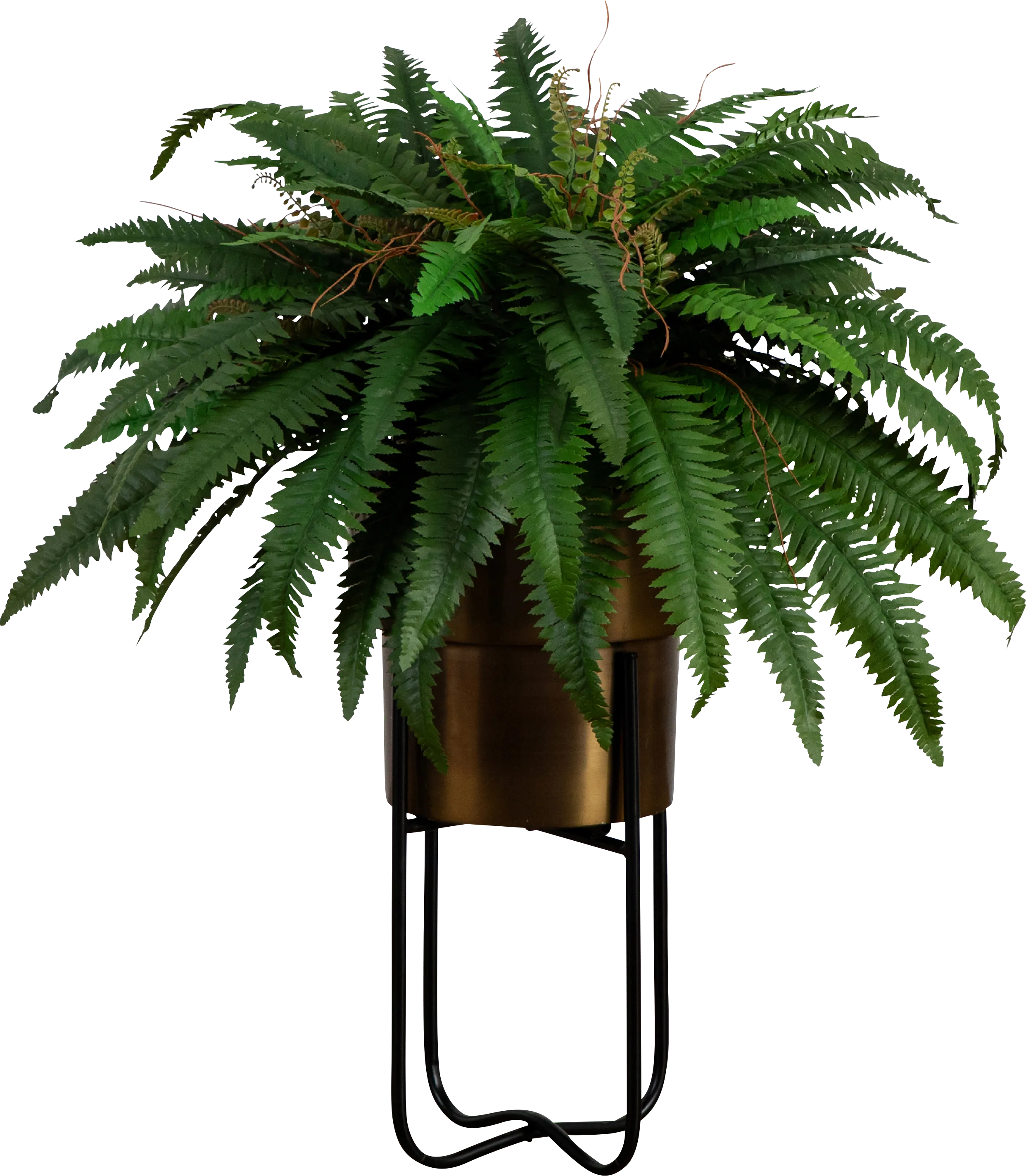 Hanabeck II Green Silk Plant - Thumbnail - Image 1