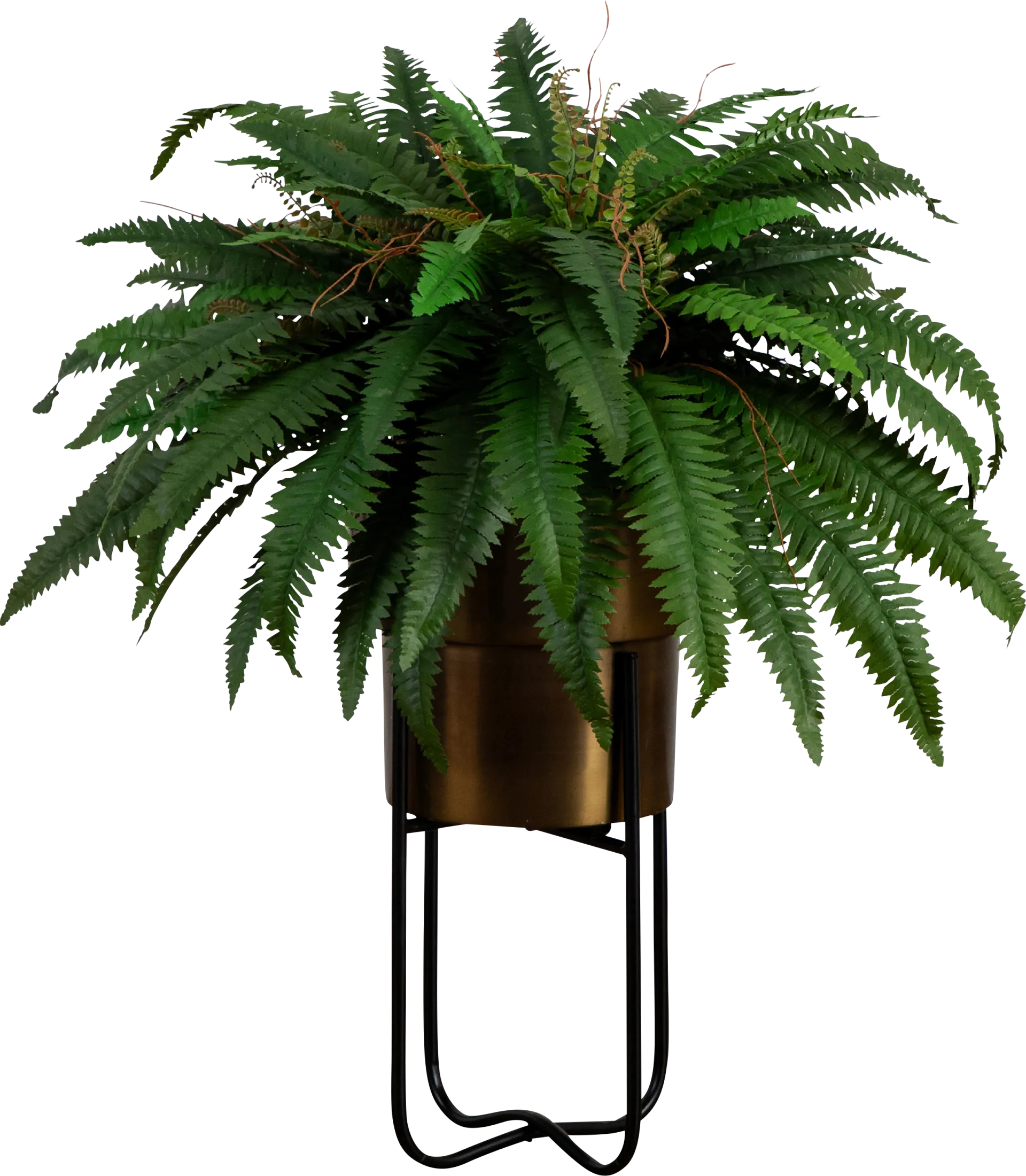 Hanabeck II Green Silk Plant - Image 1