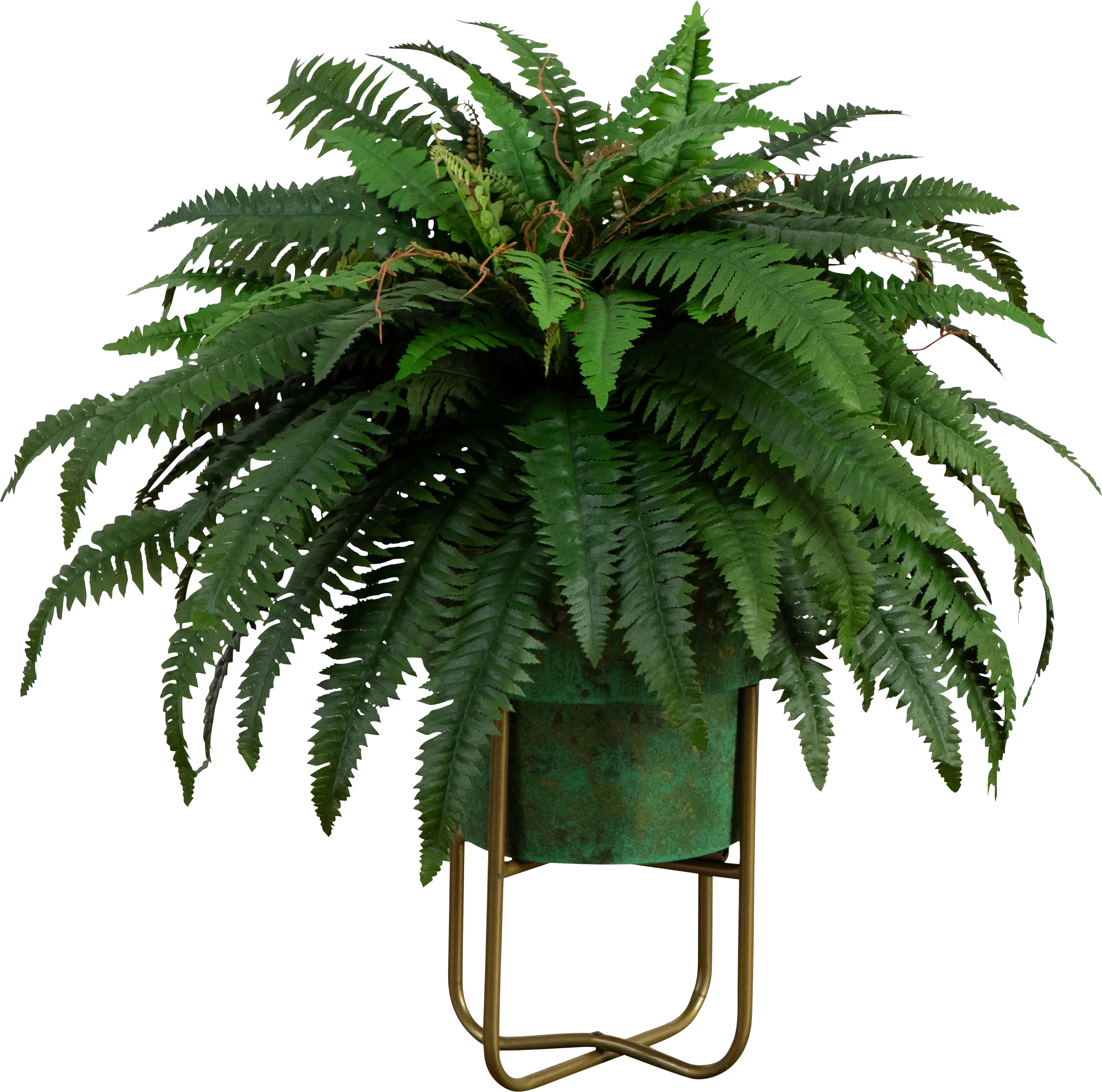 Hanabeck I Green Silk Plant - Thumbnail - Image 1