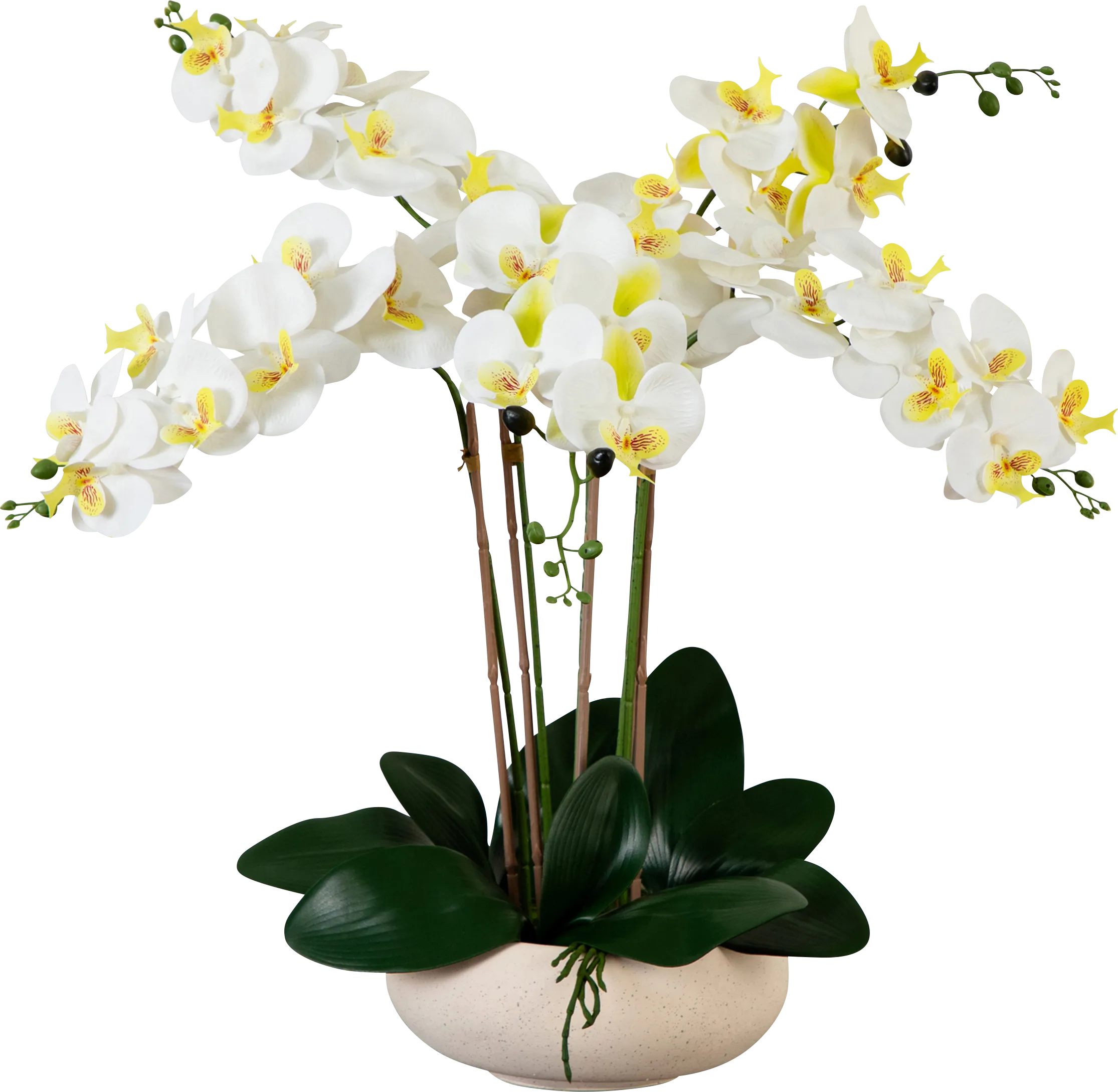 Connellsville White Silk Floral - Thumbnail - Image 1