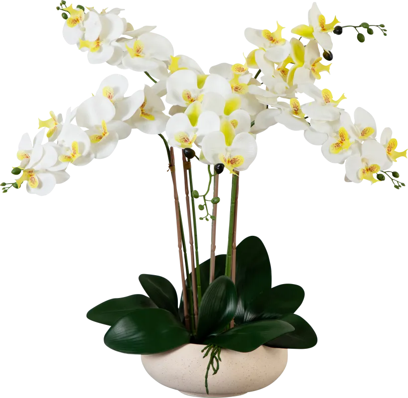 Connellsville White Silk Floral