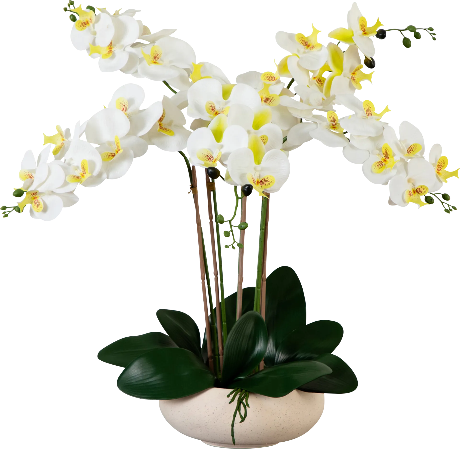 Connellsville White Silk Floral - Image 1