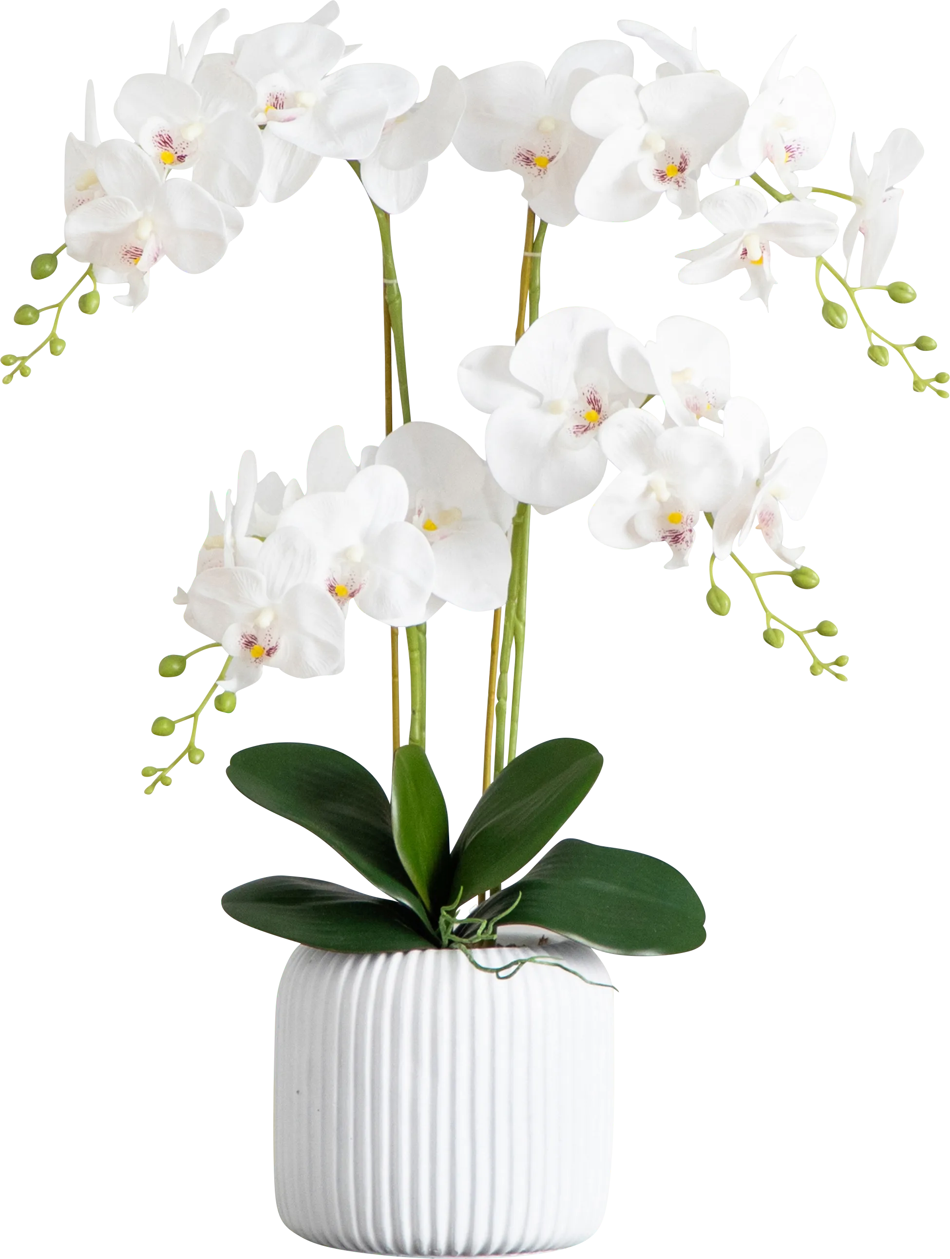 Bierer White Silk Floral - Thumbnail - Image 1