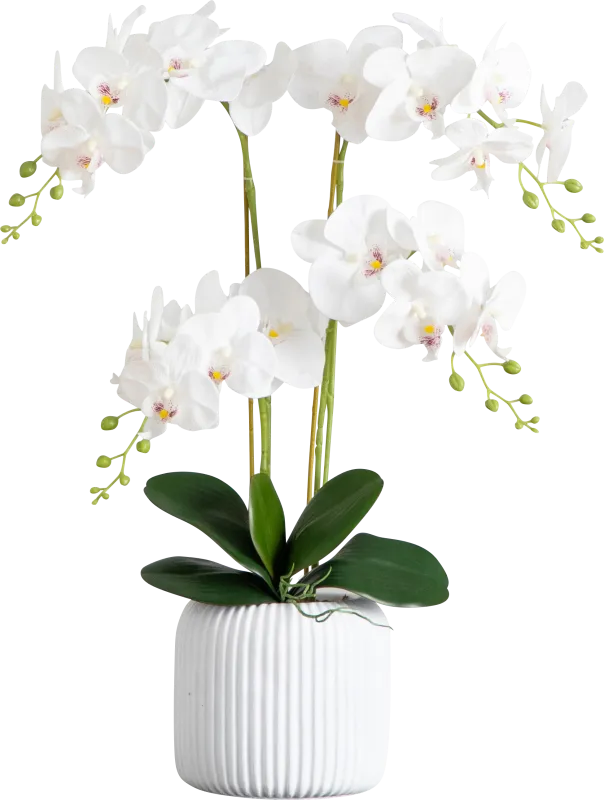 Bierer White Silk Floral
