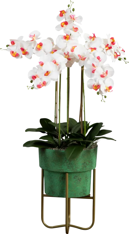 Balsinger II White Silk Floral