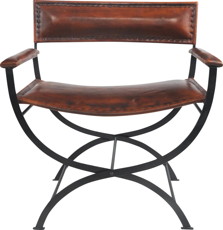 Egoria Brown Accent Chair