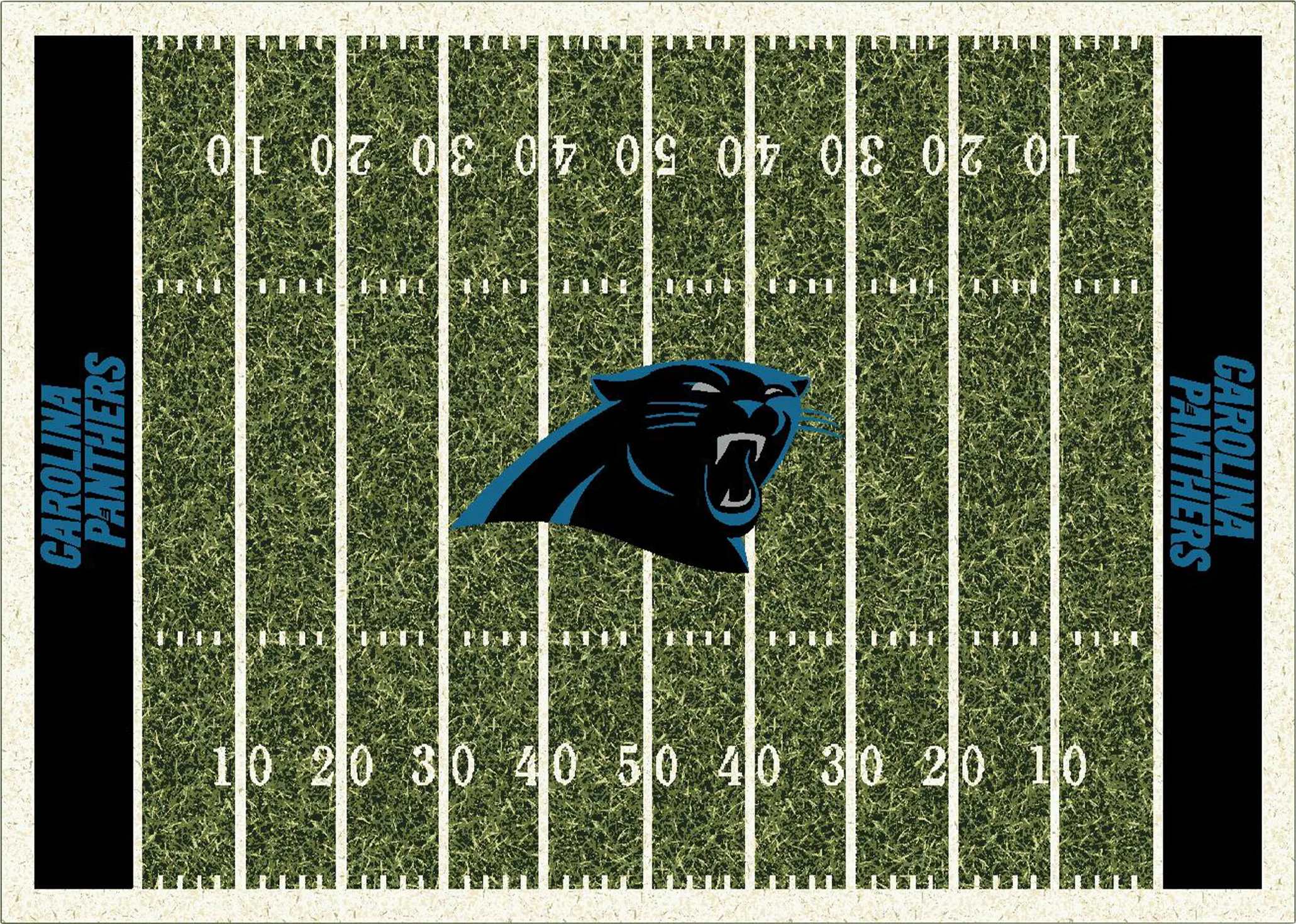 Carolina Panthers Green 4' x 6' Rug