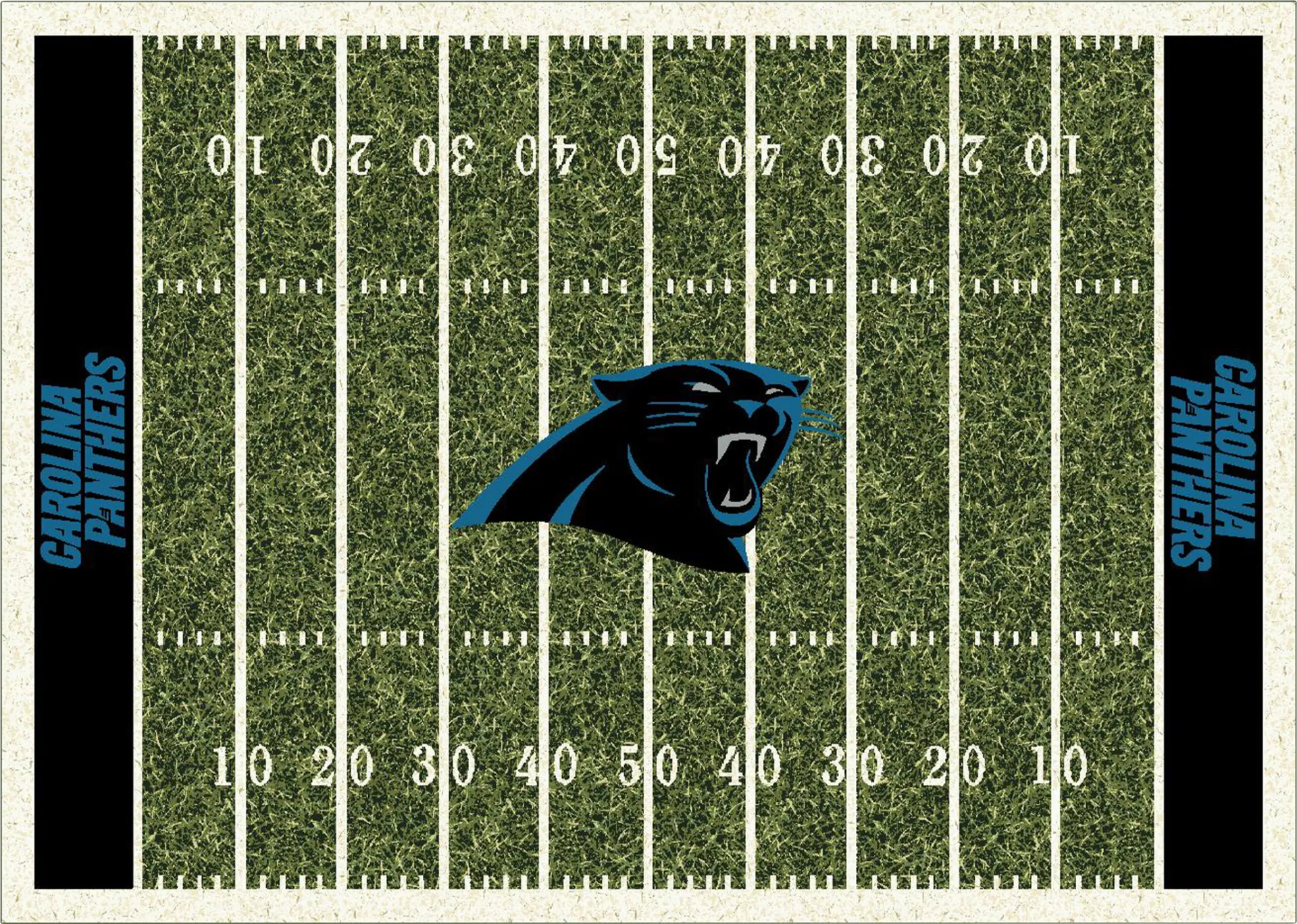 Carolina Panthers Green 4' x 6' Rug - Image 1