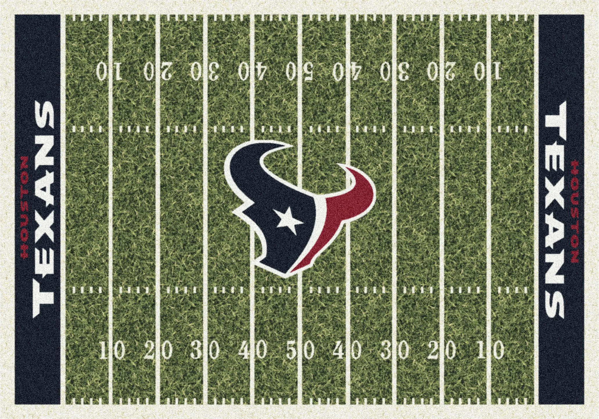 Houston Texans Green 4' x 6' Rug - Thumbnail - Image 1