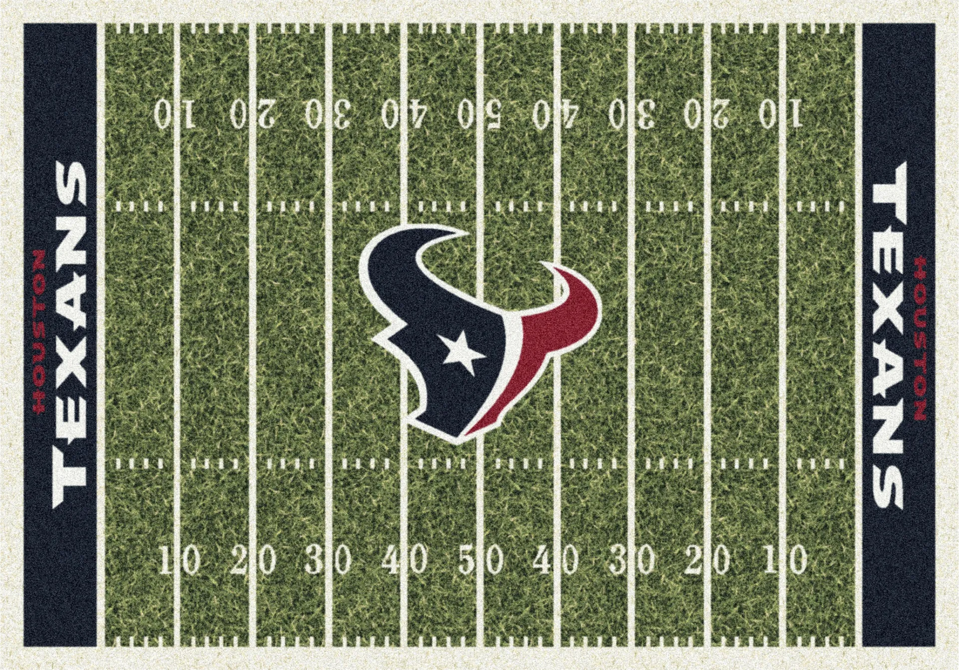 Houston Texans Green 4' x 6' Rug - Image 1