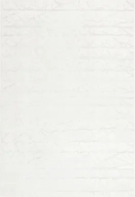 Sasuka Ivory 9' x 12'2 Rug