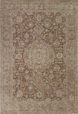 Hinul Copper 7'10 x 10' Rug