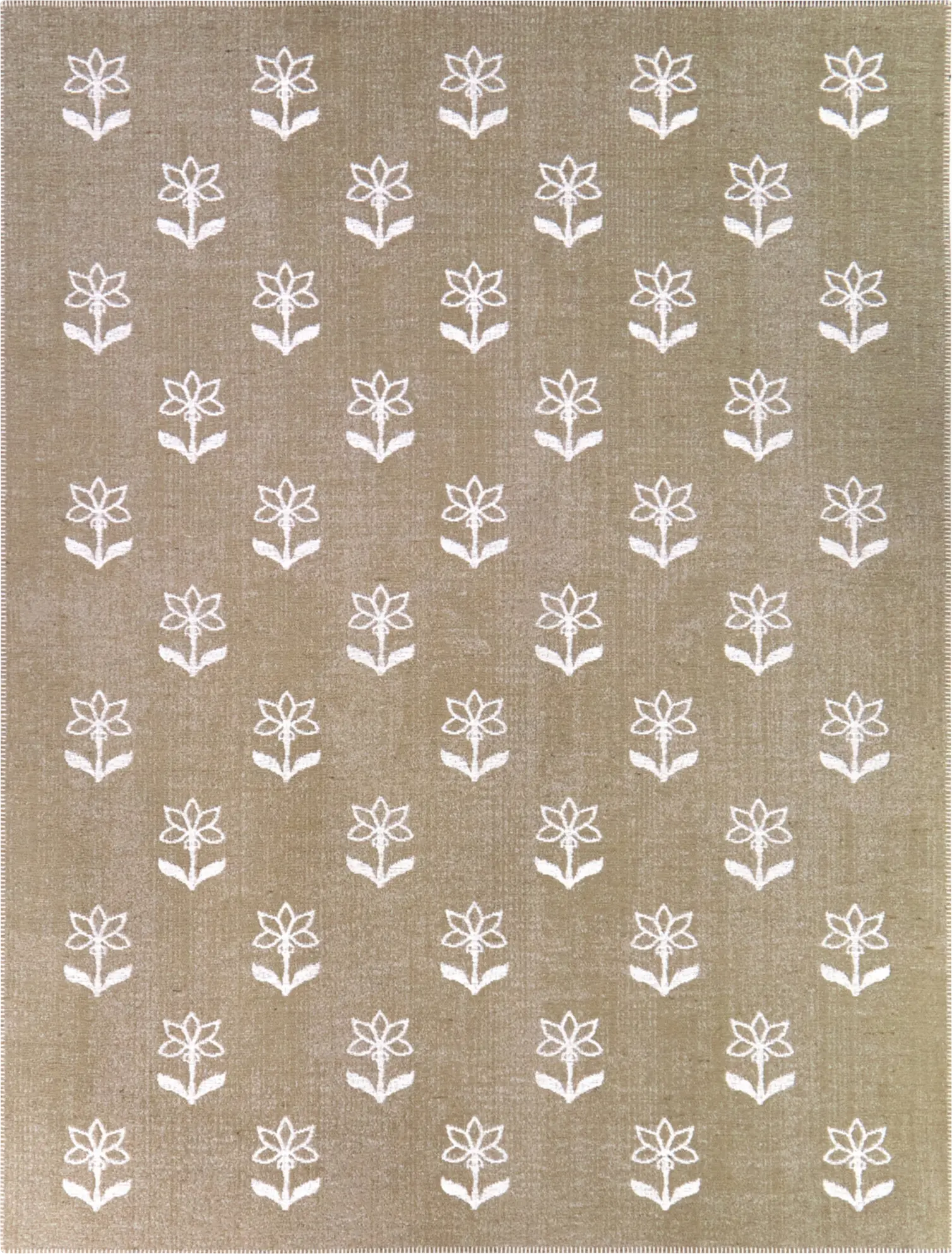 Wima Cream 5'3 x 7' Rug
