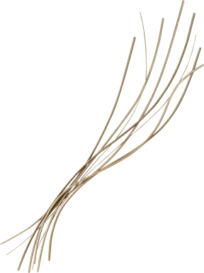 Kraefur Silver Wall Decor