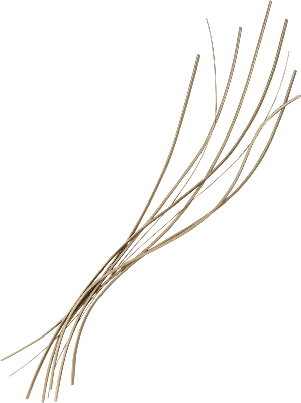 Kraefur Silver Wall Decor