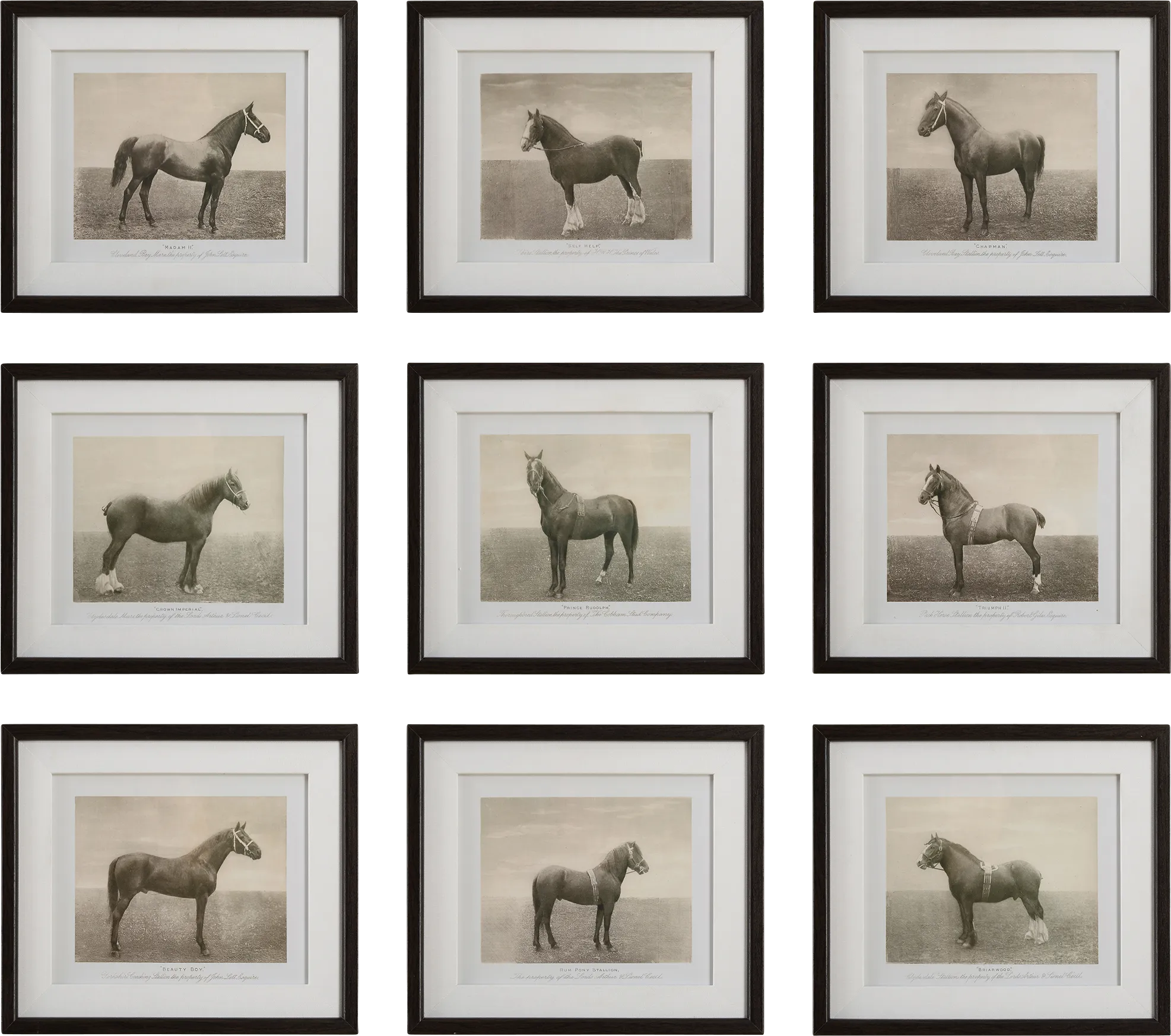 Creot Brown Artwork, Set of 9