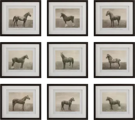 Creot Brown Artwork, Set of 9