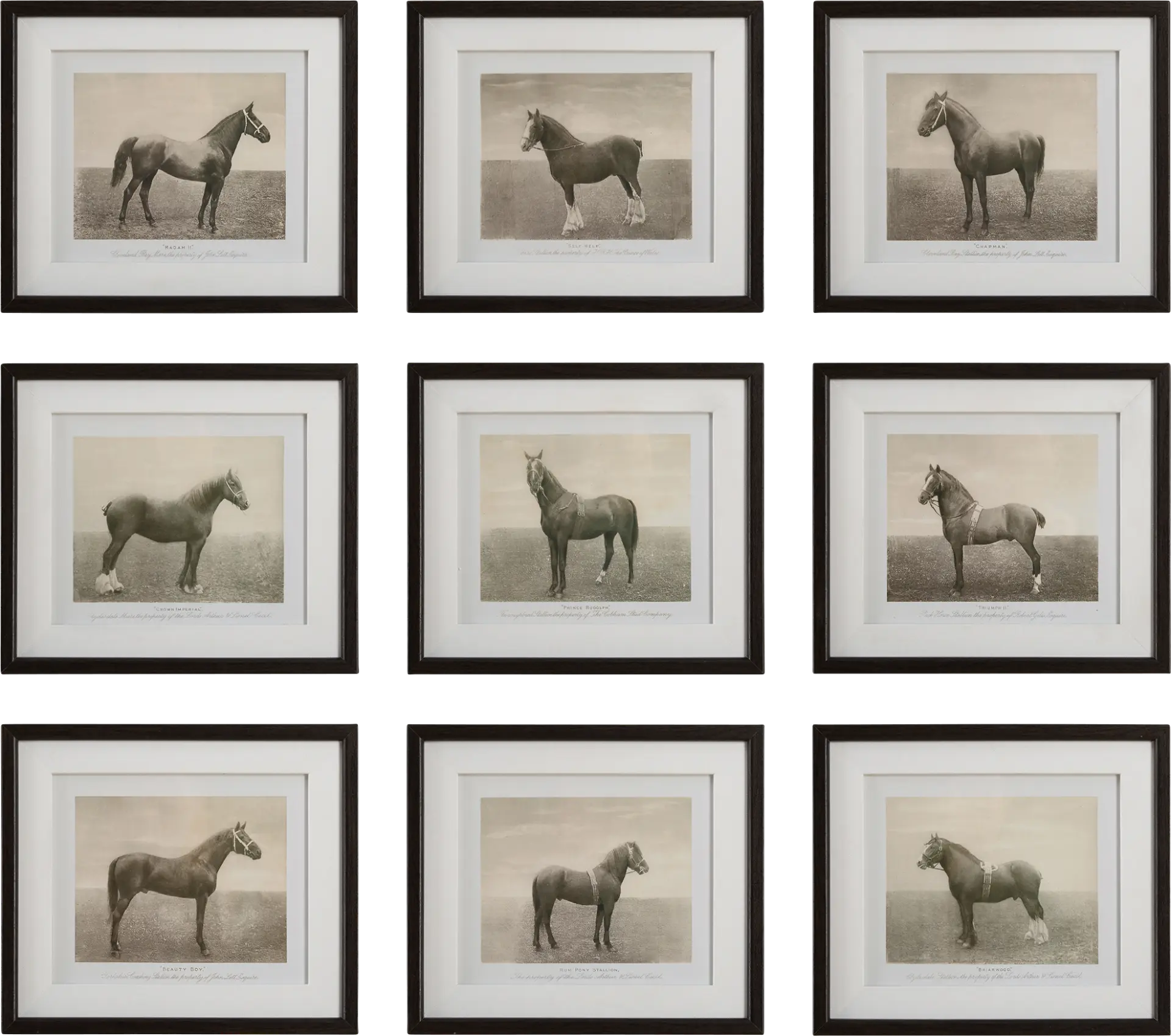 Creot Brown Artwork, Set of 9