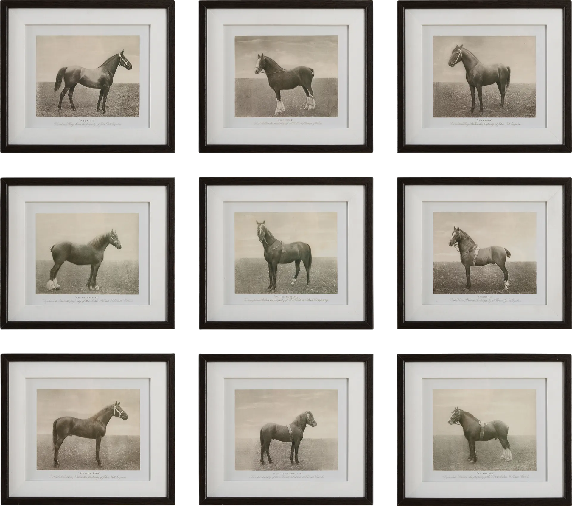 Creot Brown Artwork, Set of 9 - Image 1