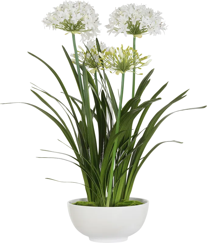 Srua White Silk Flower Arrangement