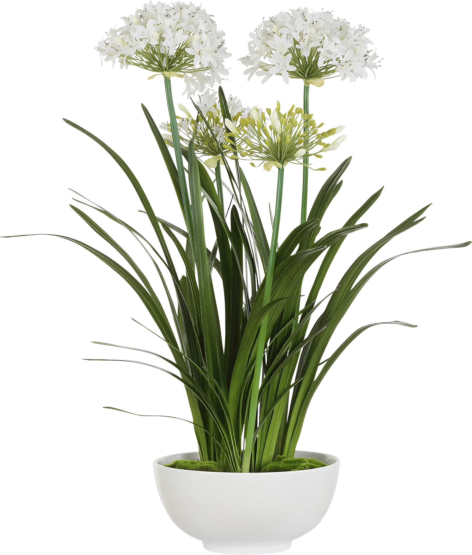 Srua White Silk Flower Arrangement