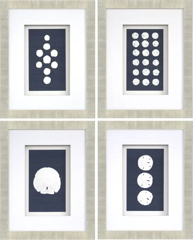 Sand Dollars Set of 4 Artwork